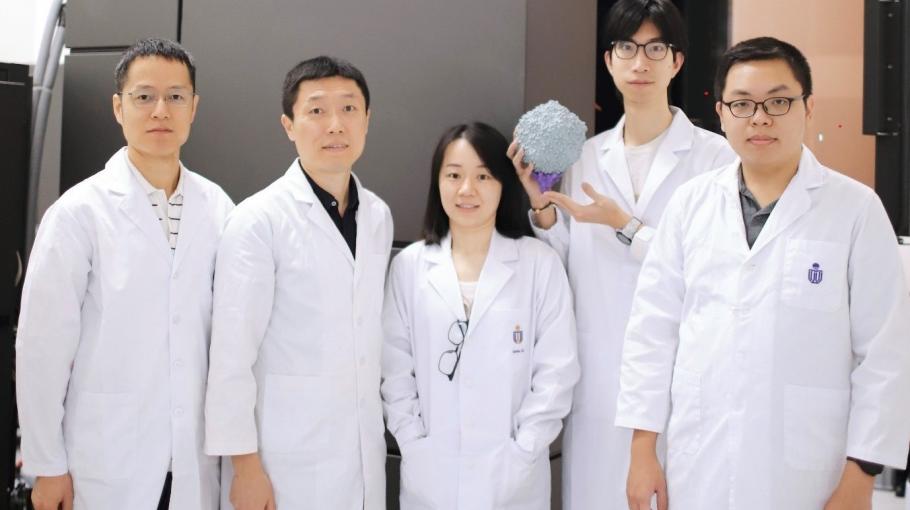 HKUST Researchers Report the High-res Structure of a Cyanobacterial Virus