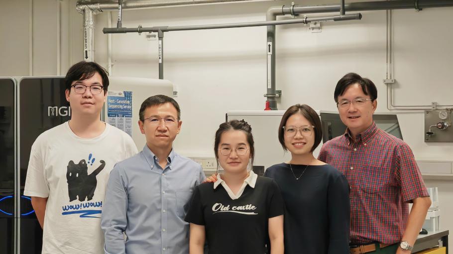 HKUST Researchers Reveal Microglia’s Crucial Role in Preventing Axonal Degeneration Following Spinal Cord Injury