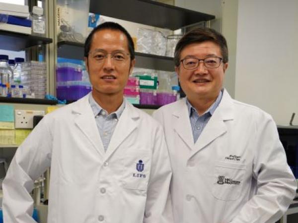 A joint research team from The Hong Kong University of Science and Technology (HKUST), and the LKS Faculty of Medicine, The University of Hong Kong (HKUMed) have demonstrated that ZCB11, a broadly neutralising antibody derived from a local mRNA-vaccinee against the spreading Omicron variants of SARS-CoV-2, displays potent antiviral activities against all variants of concern (VOCs), including the dominantly spreading Omicron BA.1, BA1.1 and BA.2. The research team members include (from left): Professor Dang 