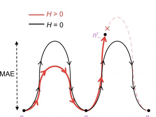 图1 (a) 奈尔矢量180° 翻转的对称（黑线）和非对称（红线）能垒示意图。