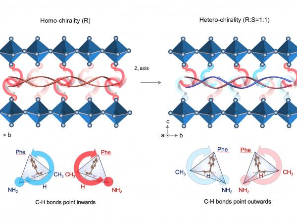 Schematics illustration of the homochiral and heterochiral interface modification concepts invented by Prof. Zhou’s research team.