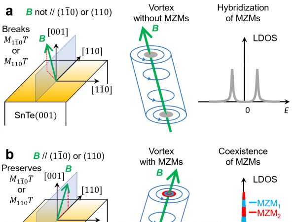 Schematics for controllable hybridization of MT protected MZMs using tilted magnetic fields. (a) The magnetic field is not parallel to the 110 or 110 mirror planes and breaks the symmetry that protects the MZMs. (b) The magnetic field is parallel to the 110 or 110 mirror planes and preserves the symmetry that protects the MZMs. Left: Schematics for the tilted magnetic field and the mirror planes. Middle: Schematics for the tilted vortex line. Right: Schematics for the local density of states showing the non