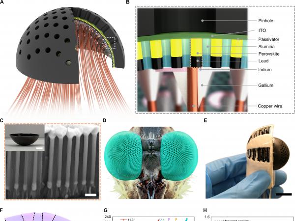 Schematic illustration and images of the pinhole compound eye camera and integrated components