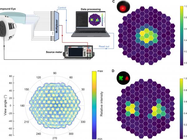 Imaging capability of the pinhole compound eye camera