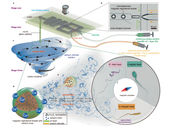 Production of polymorphous sperm-like microswimmers using the Vortex Turbulence-Assisted Microfluidics platform