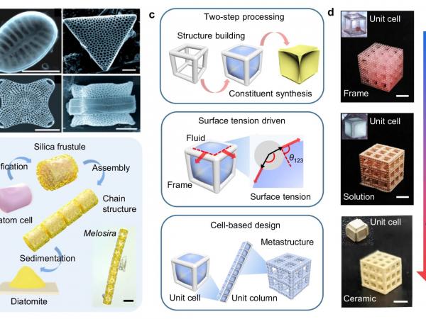 Nature-inspired design of the surface-tension-assisted two-step (STATS) manufacturing process