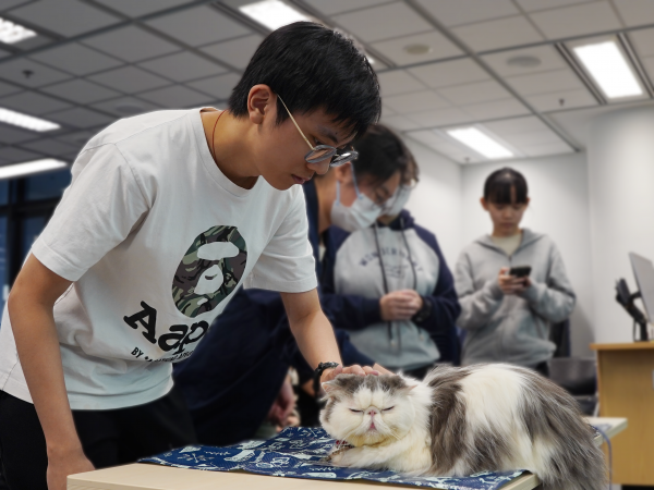 Students with therapy cats