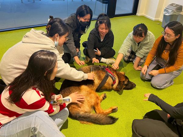 Students with therapy dogs