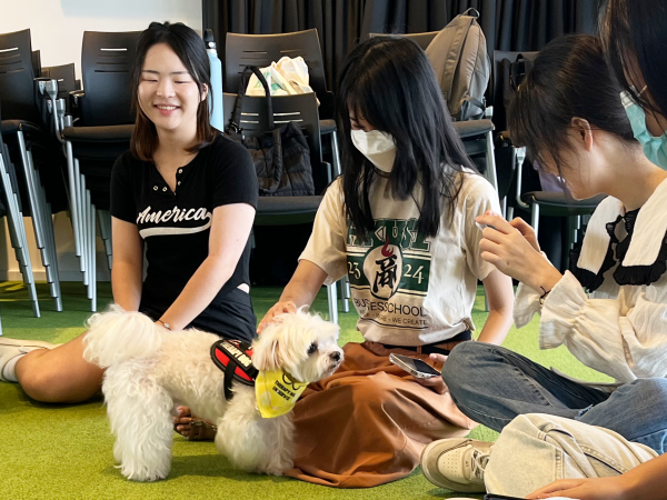 Students with therapy dogs