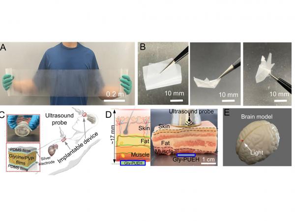 圖A及圖B展示了一卷列印的甘氨酸薄膜；圖C至圖E顯示通過植入甘氨酸壓電薄膜貼片裝置進行無線超聲能量傳輸、並實現體內發電和光遺傳學的過程。
