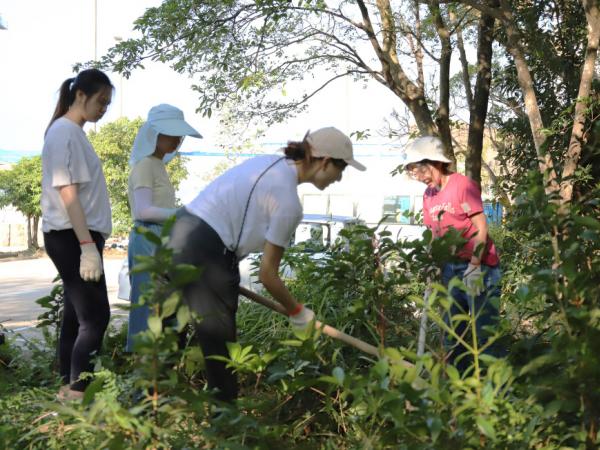 Dedicated to fostering a greener and more sustainable campus, HKUST organizes staff planting activities to cultivate an eco-conscious community.