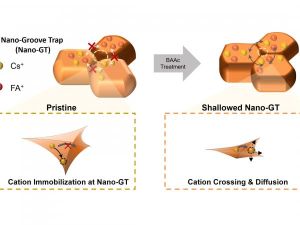 Schematic illustration of the nontrivial cation immobilization at a nanoscale groove trap and the cation relaxation after its shallowing