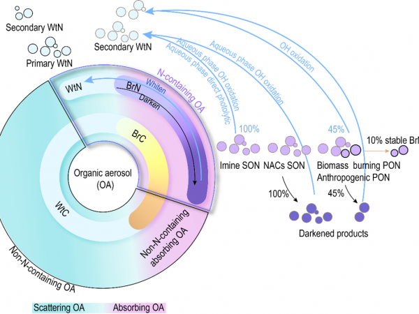 Schematic representation of the nitrogen-containing components in organic aerosols and the evolution of their light-absorbing properties.