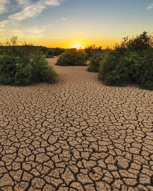 Climate Change