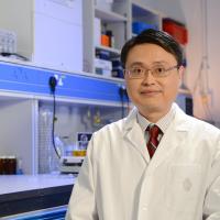Prof. King Lun YEUNG