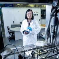 Prof. Kei May LAU