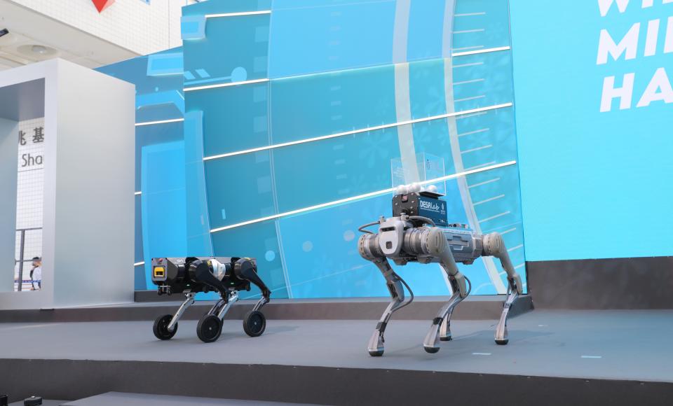 Robot dogs at HKUST 35th Anniversary Opening Ceremony