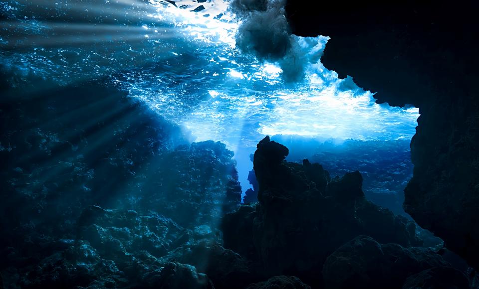 Dive Deeper with WavyOcean