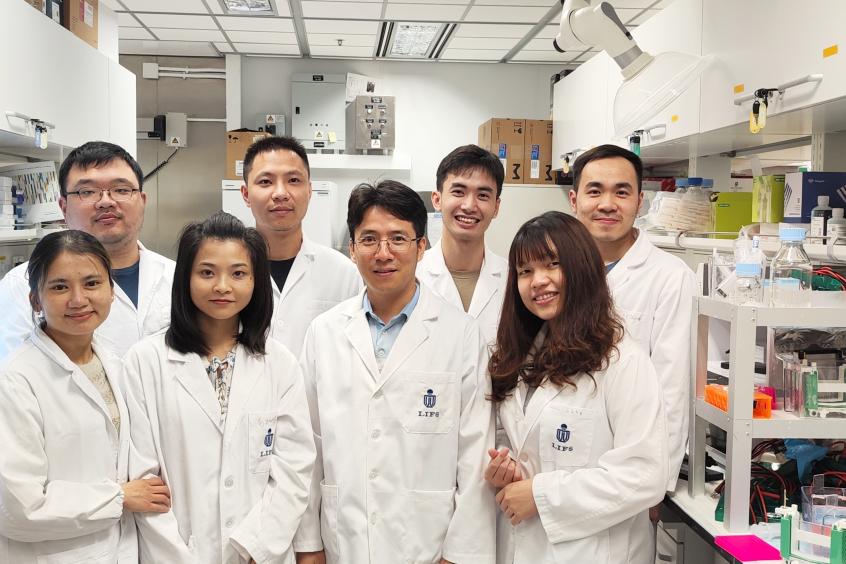 香港科大團隊發現GHR新模體 破解植物基因精準調控機制（只供英文版本）