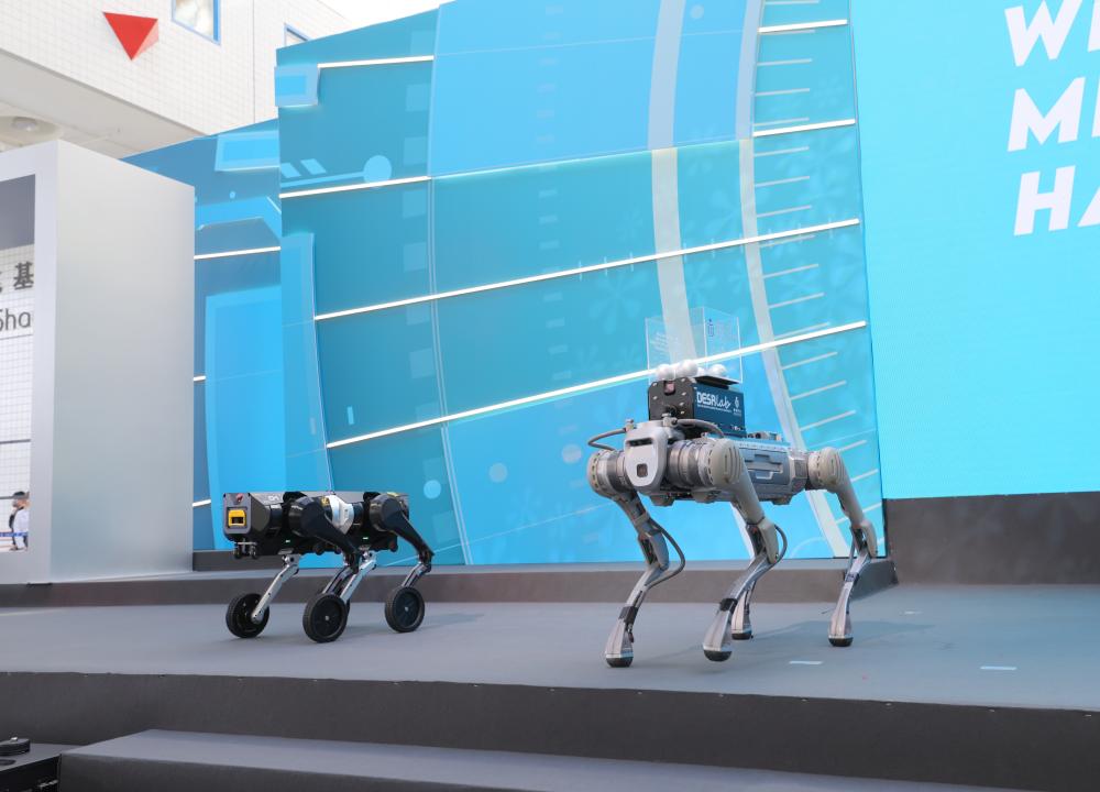 Robot dogs at HKUST 35th Anniversary Opening Ceremony