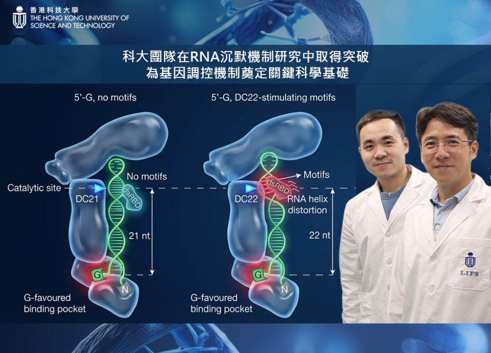 科大團隊在RNA沉默機制研究中取得突破
