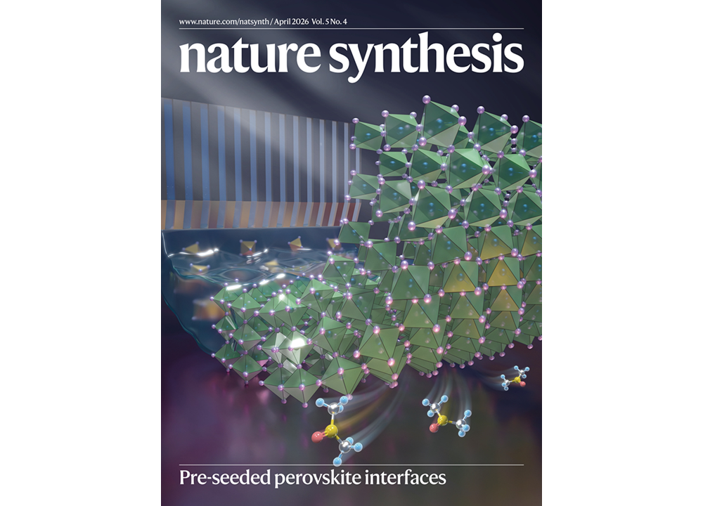 HKUST Team Co-Pioneers a “Slow-Release Solvent” Strategy to Advance Large-Area Perovskite Photovoltaic Modules