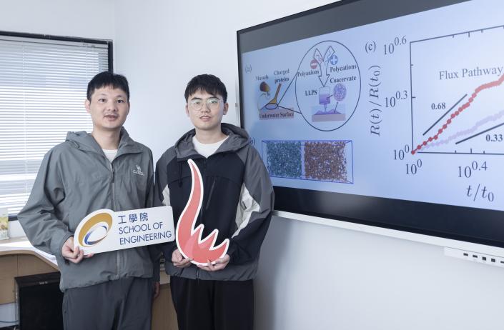 陳伸升教授（左）及其博士生吳宗培（右）模擬了「液–液相分離」的整個過程