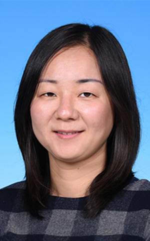 Prof. Jin WANG