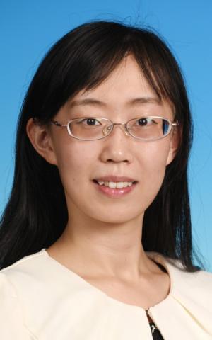 Prof. Yanzhen CHEN