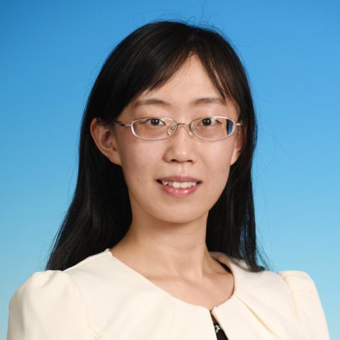 Prof. Yanzhen CHEN