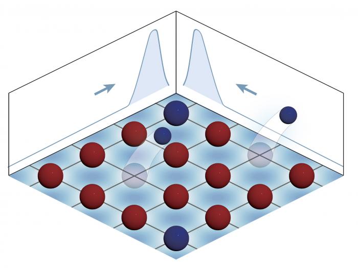 Atoms accumulate at the edge with non-Hermiticity introduced through dissipation in two dimensions